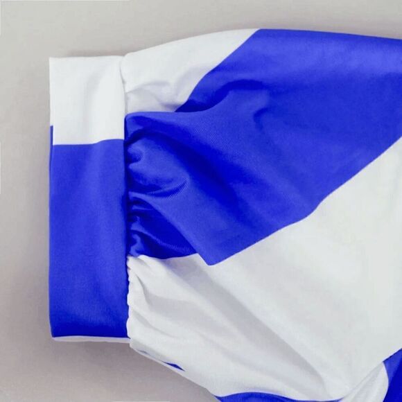 Striped One Shoulder Asymmetrical High Low Ruffle Peplum Top Tunic NEW SIZE S - Picture 7 of 16